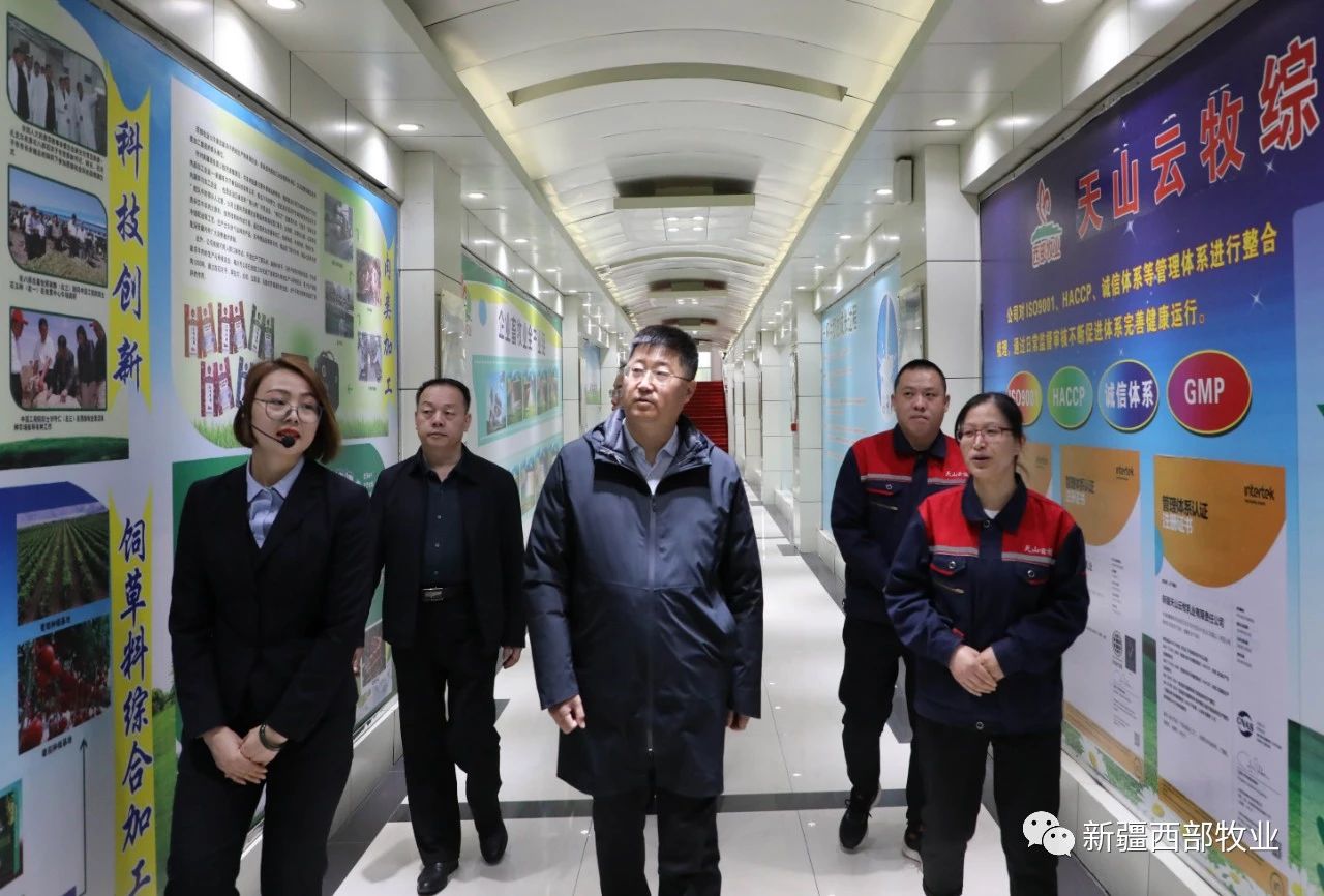 八師石河子市黨委常委、八師副師長趙日強到天山云牧公司調(diào)研
